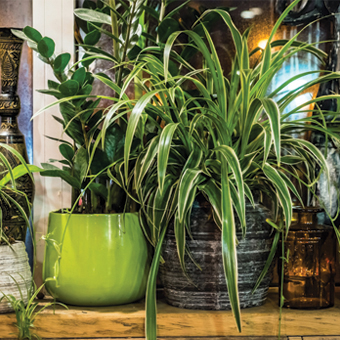 Homewares